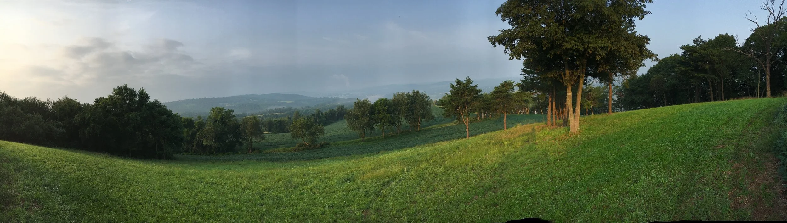 Landscape 3.jpg
