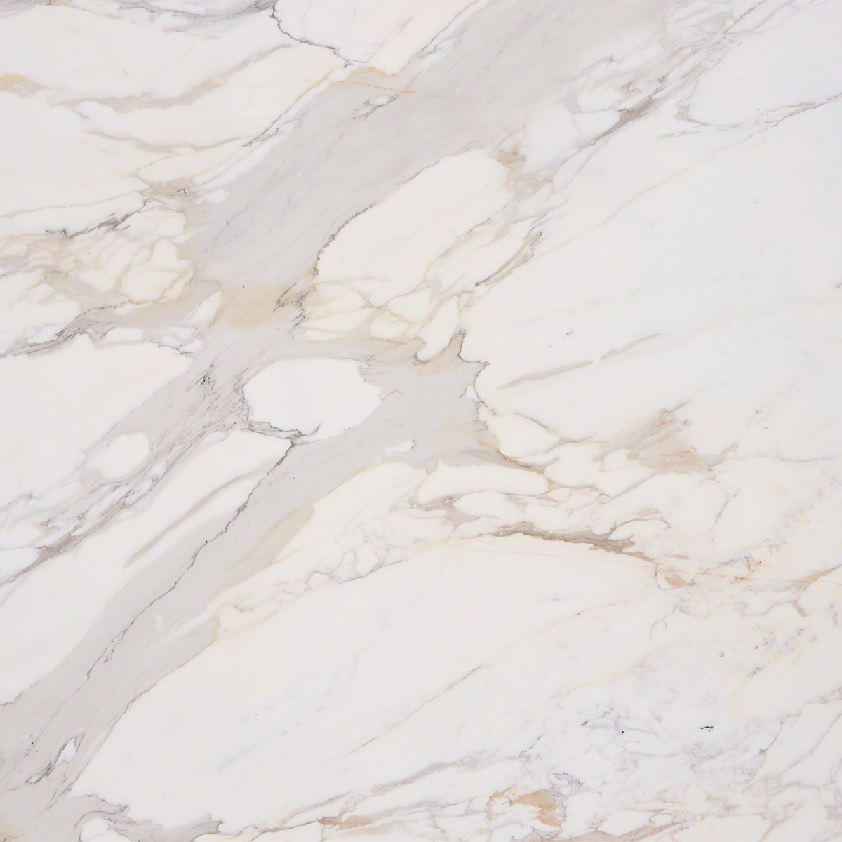 calacatta gold
