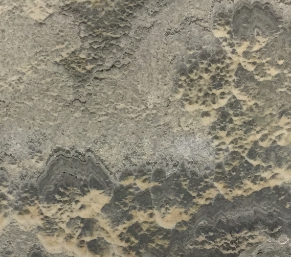 velluto