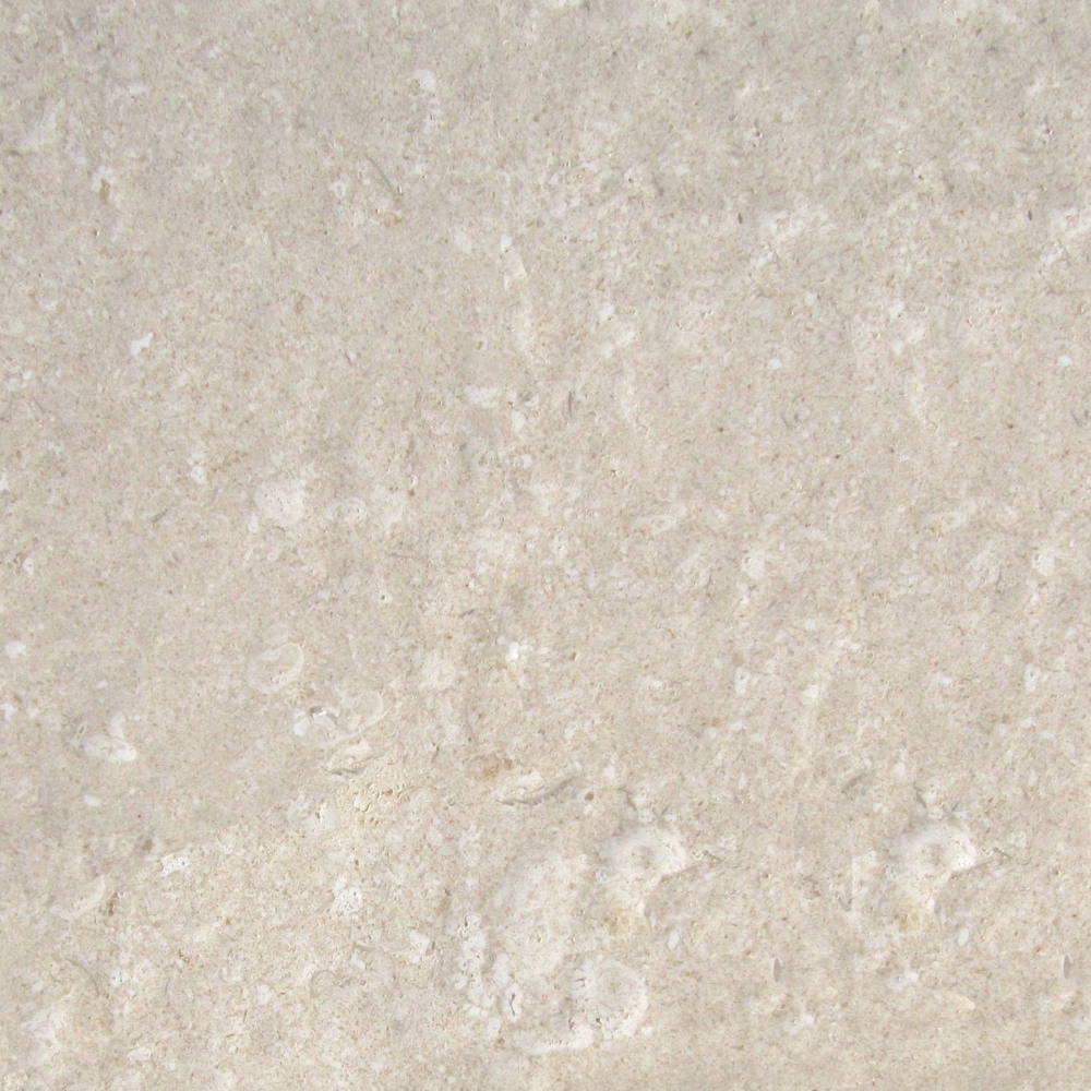 bianco avorio