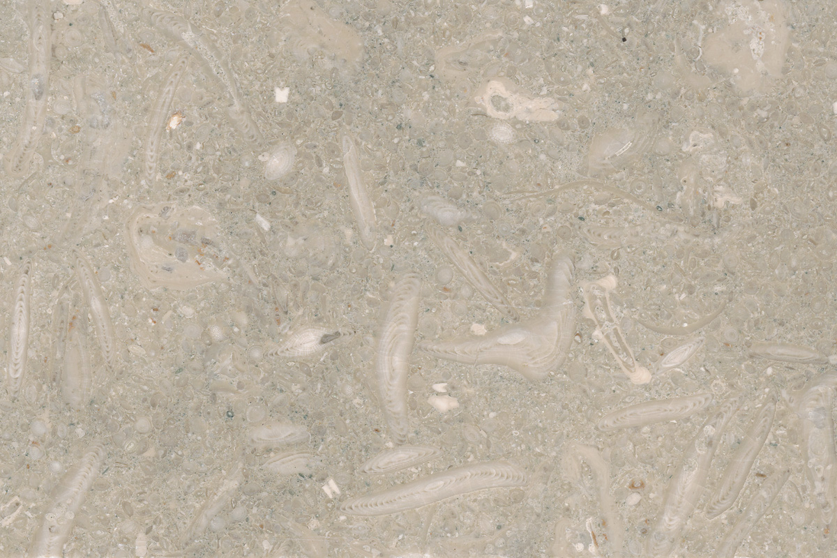 fossil-limestone-honed.jpg