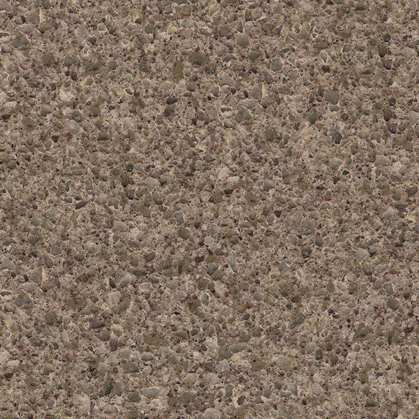 olive rust