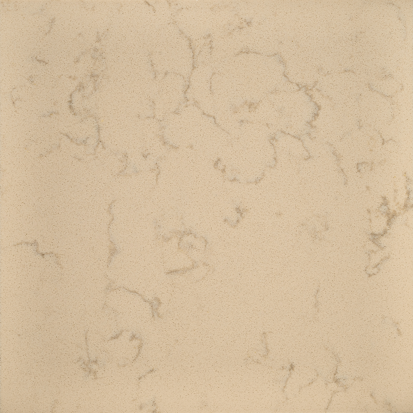 coarse botticino