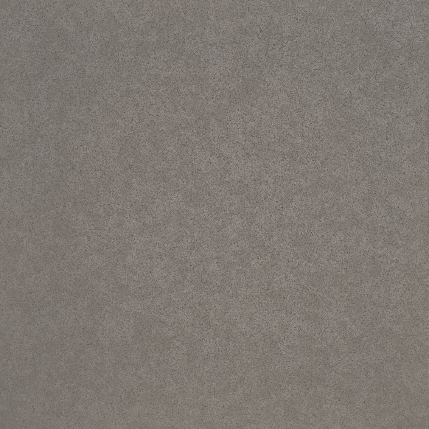 dove grey