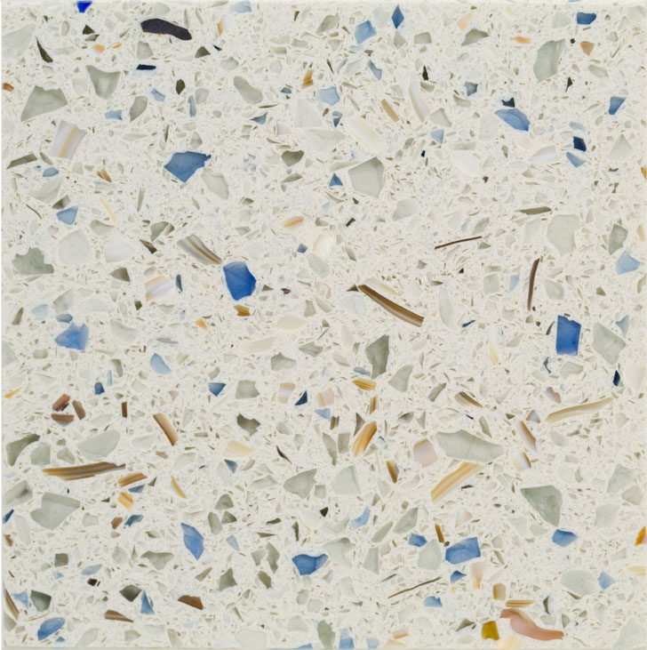 ocean shell