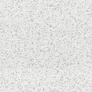 SNOW FLURRY