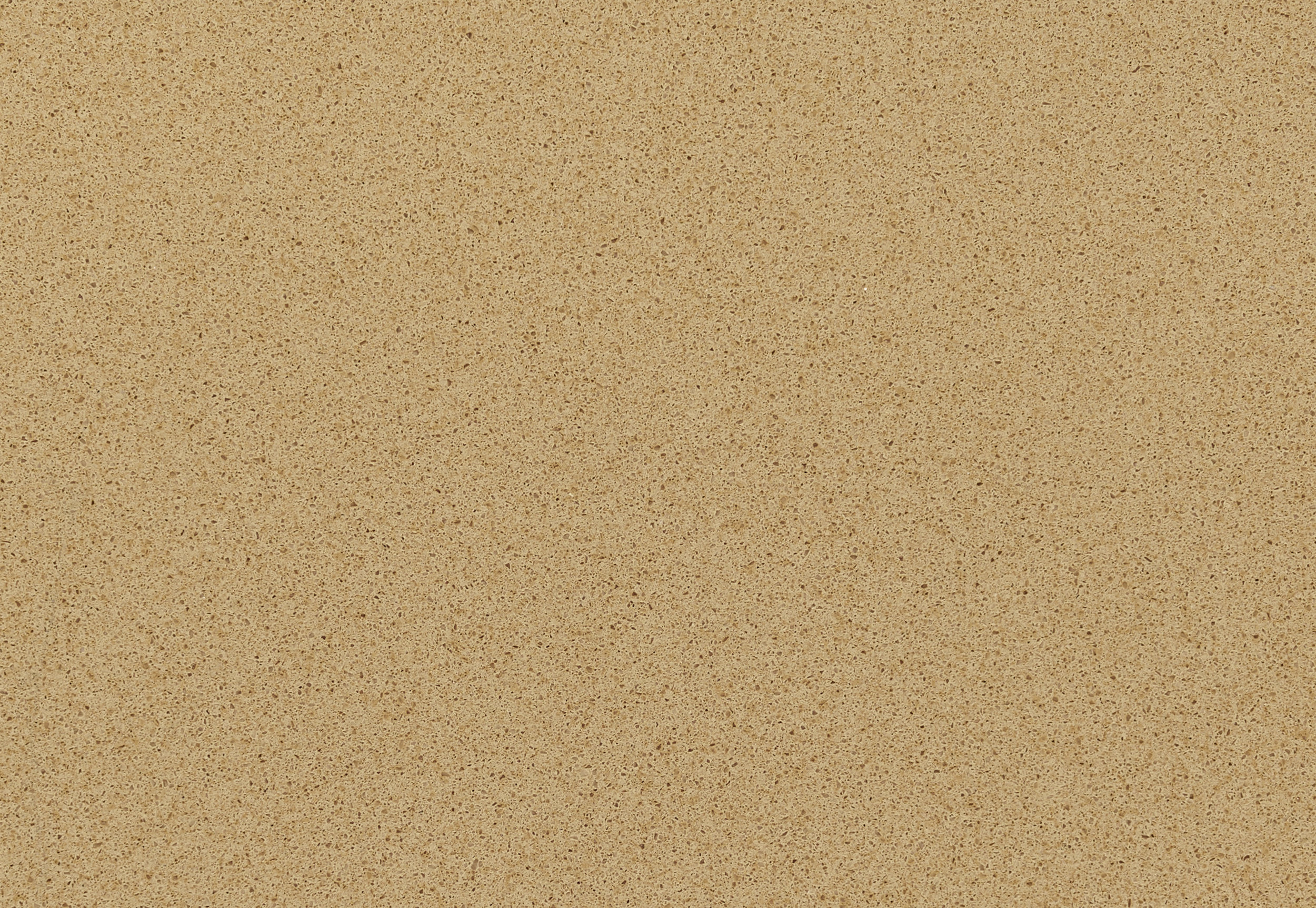 cambrian gold