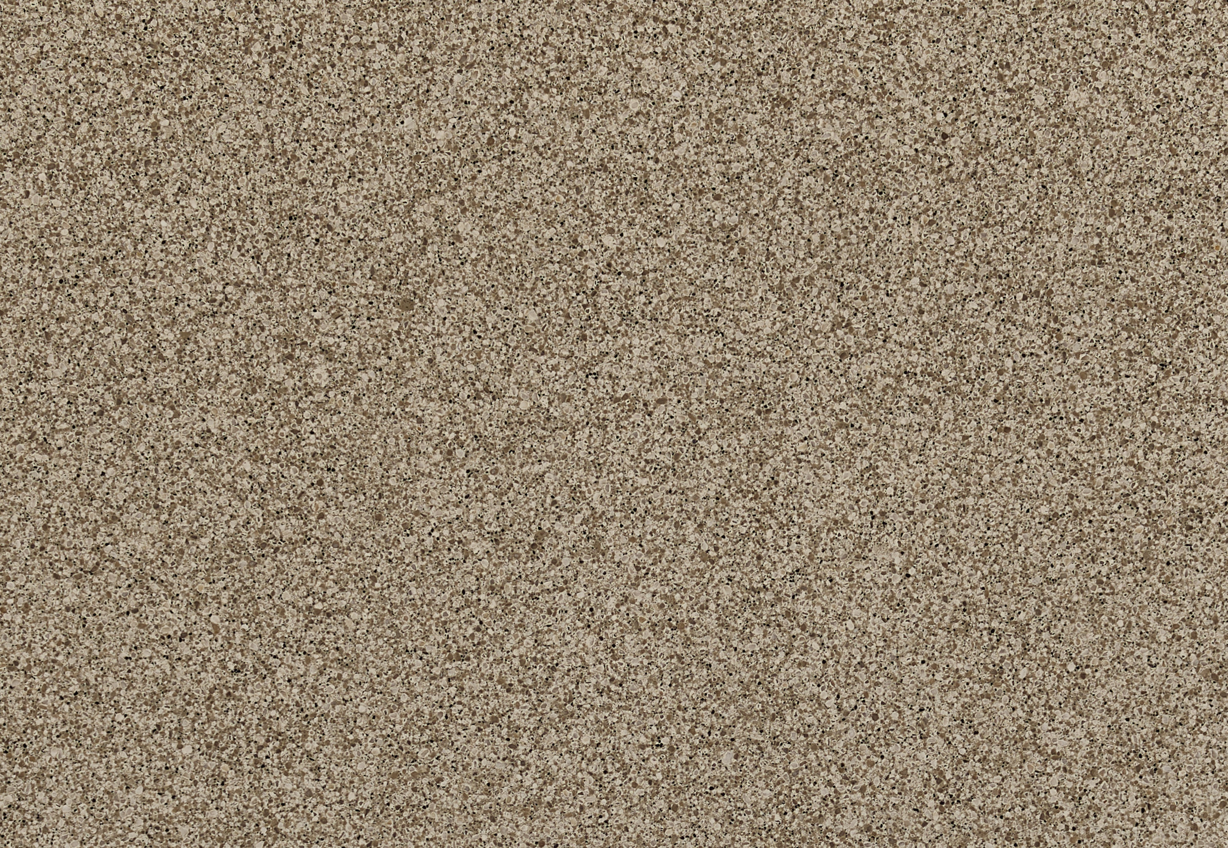 carlisle grey