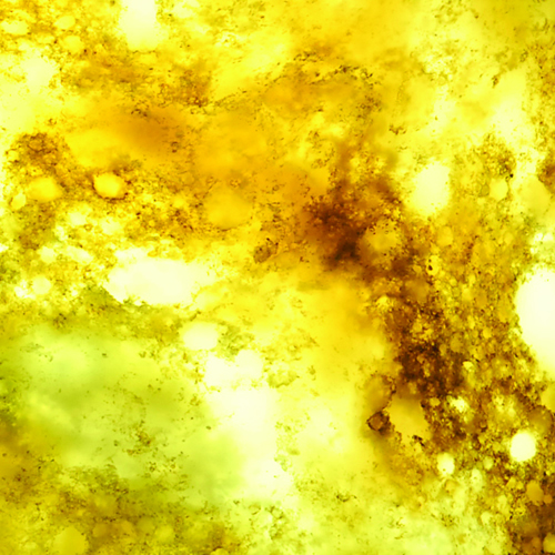 translucent yellow