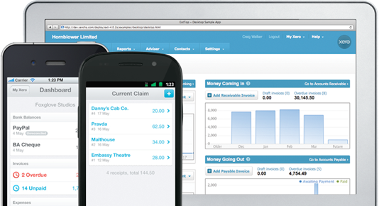 Xero-Queenstown-Chartered-Accountant-Fixed-Fees