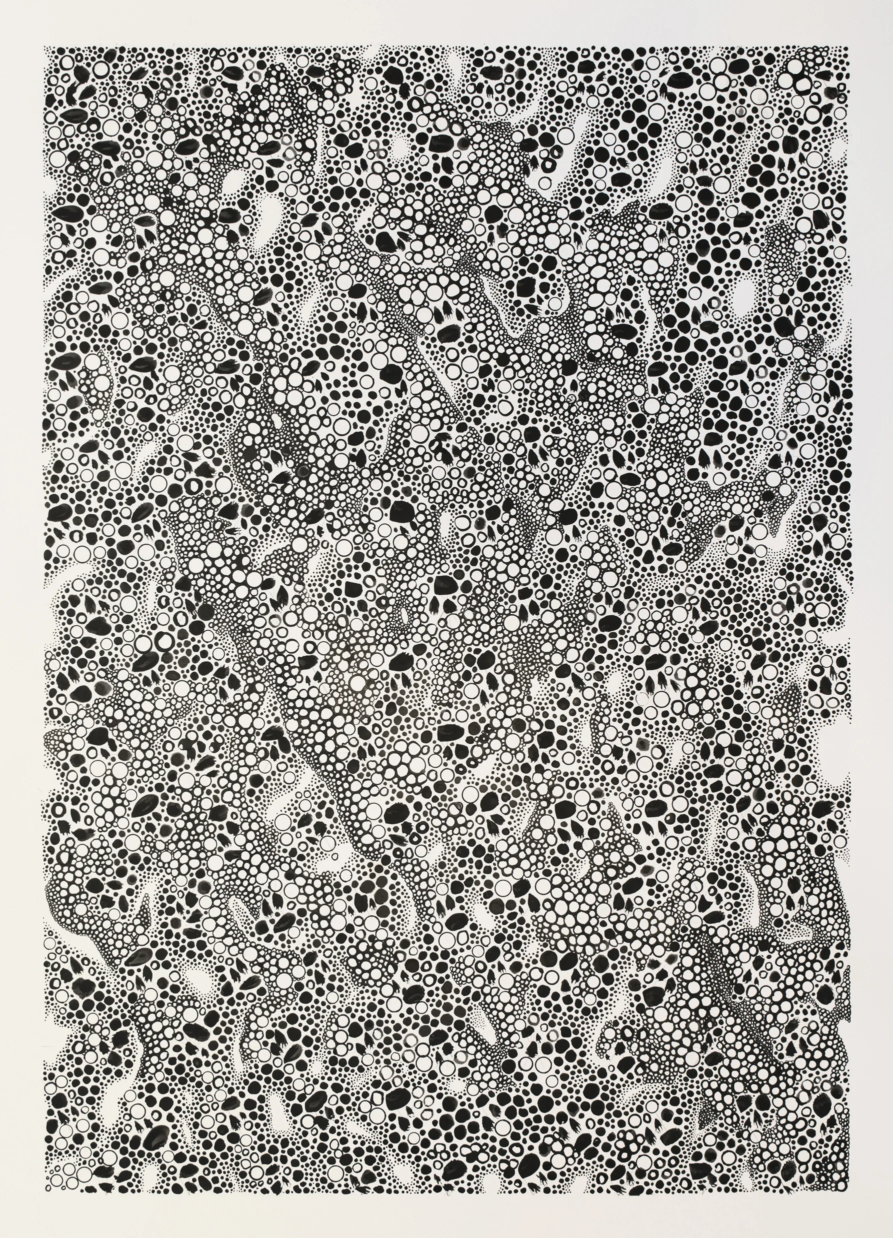 TIMOTHYCORBETT.ART