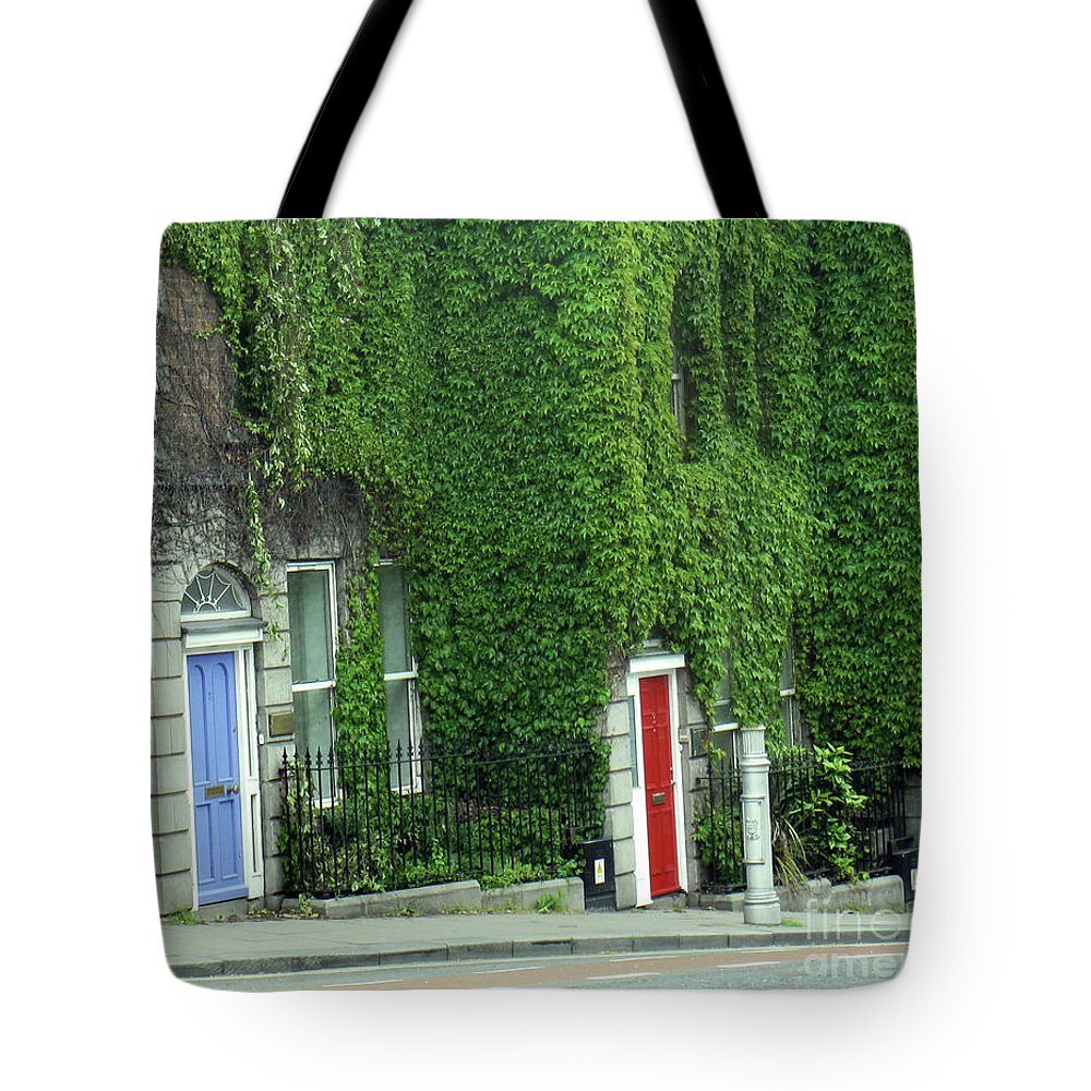 doors-of-dublin-rosalie-rodriguez.jpg