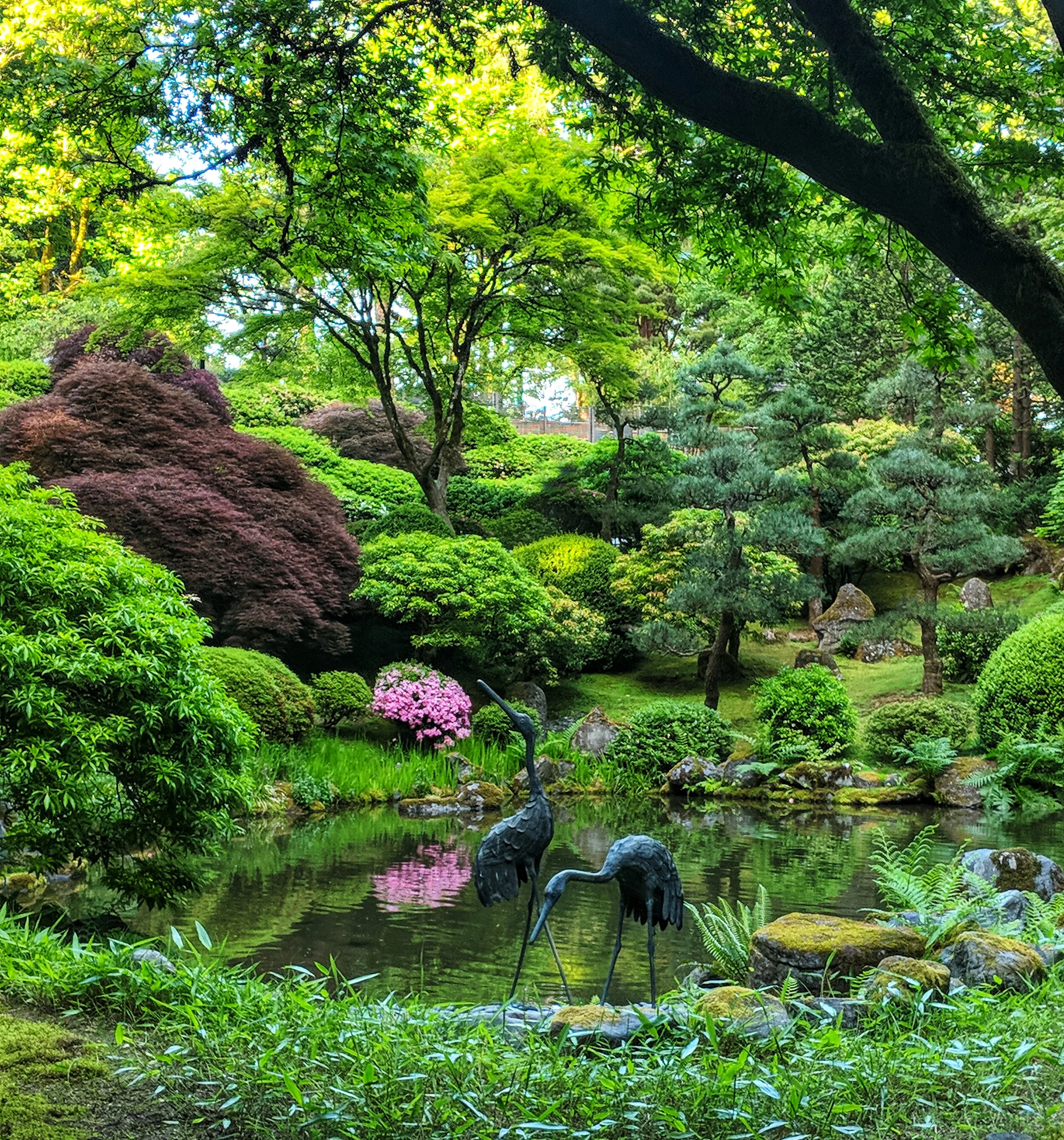 IMG_20190601_175042-01 (1).jpeg