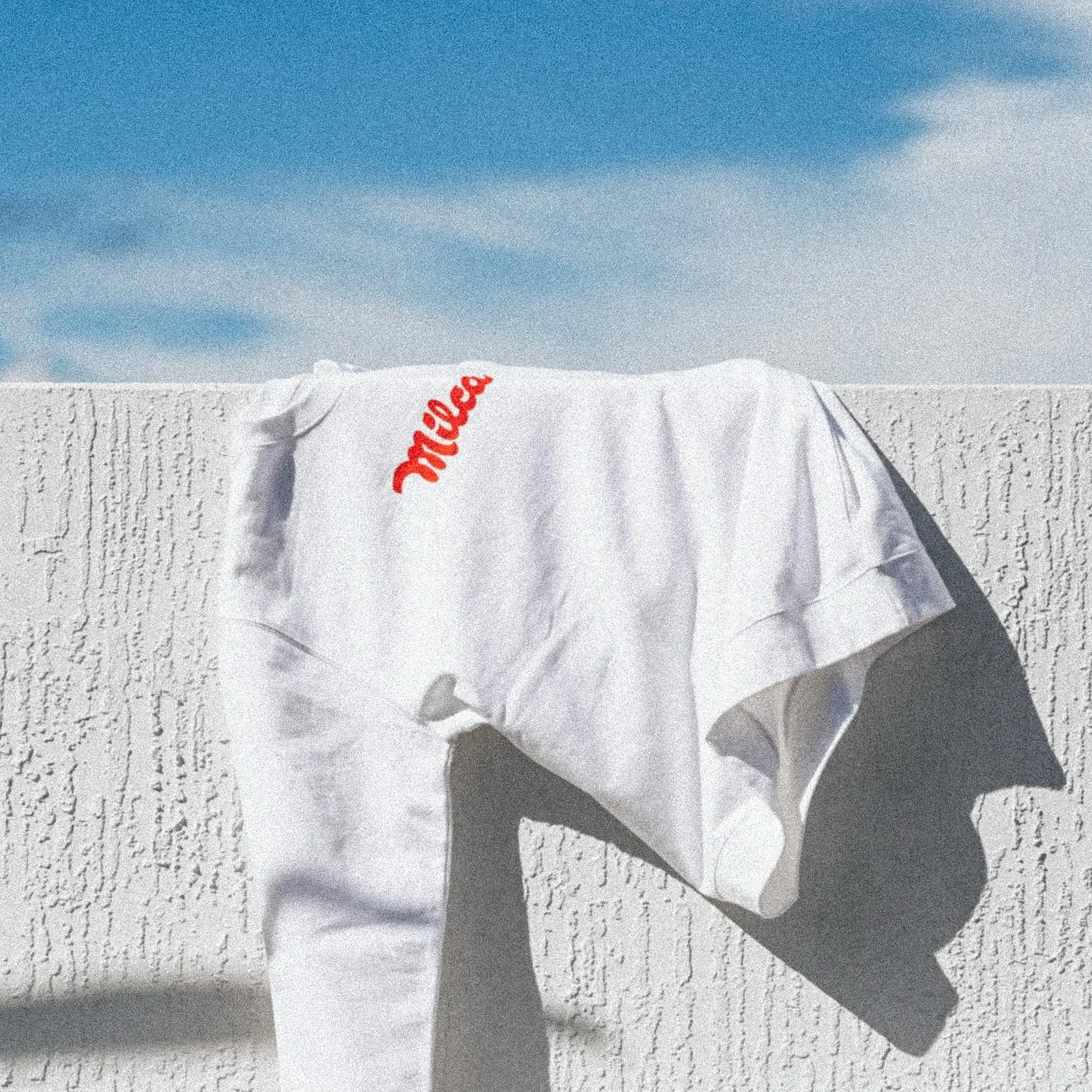 Milca Merch‼️🌴🥤🥶
#Milca #Merch #LaRojaOriginal

📸 @dsalazphoto