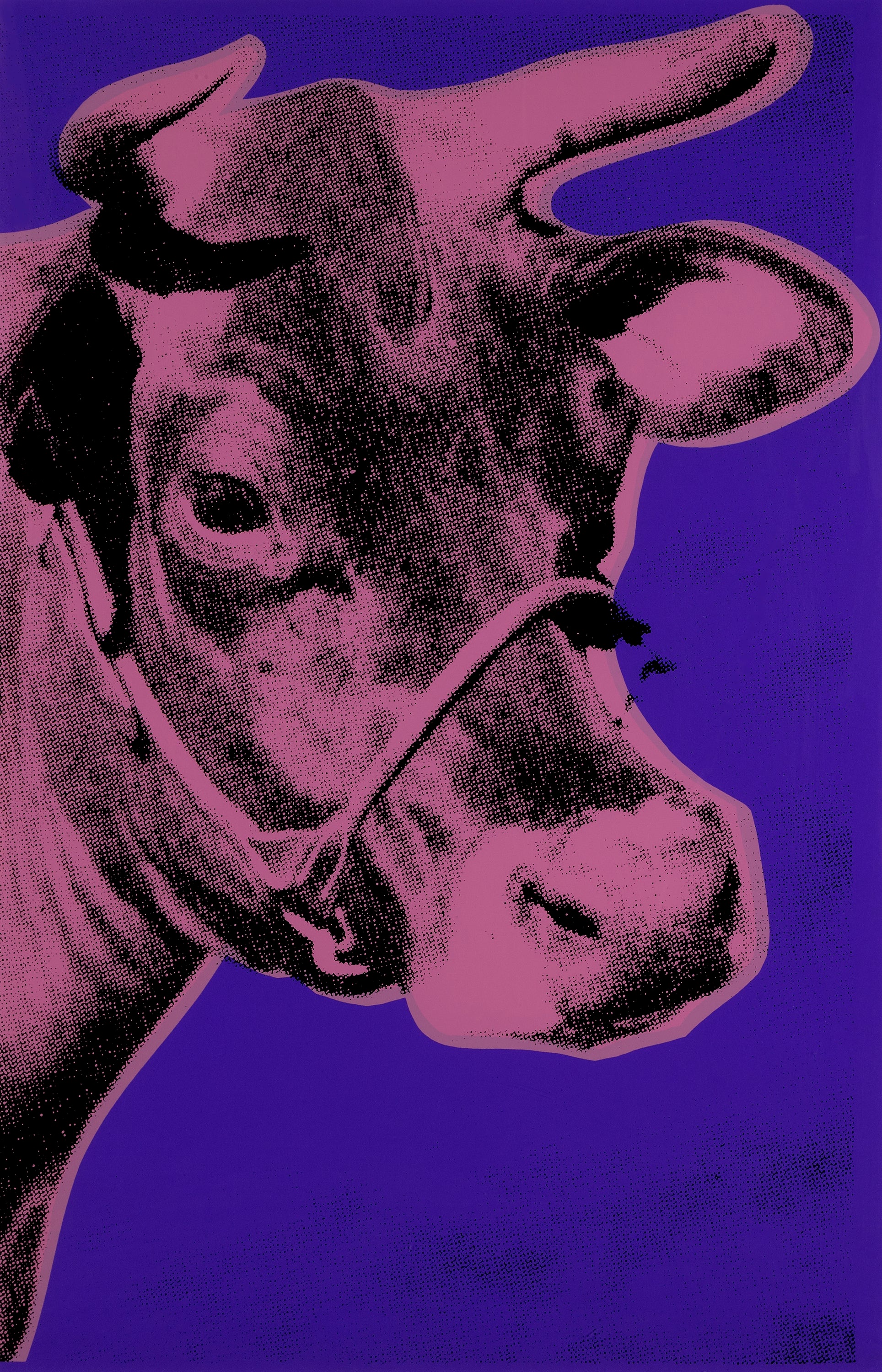 Andy-Warhol-Cow-1966.jpg