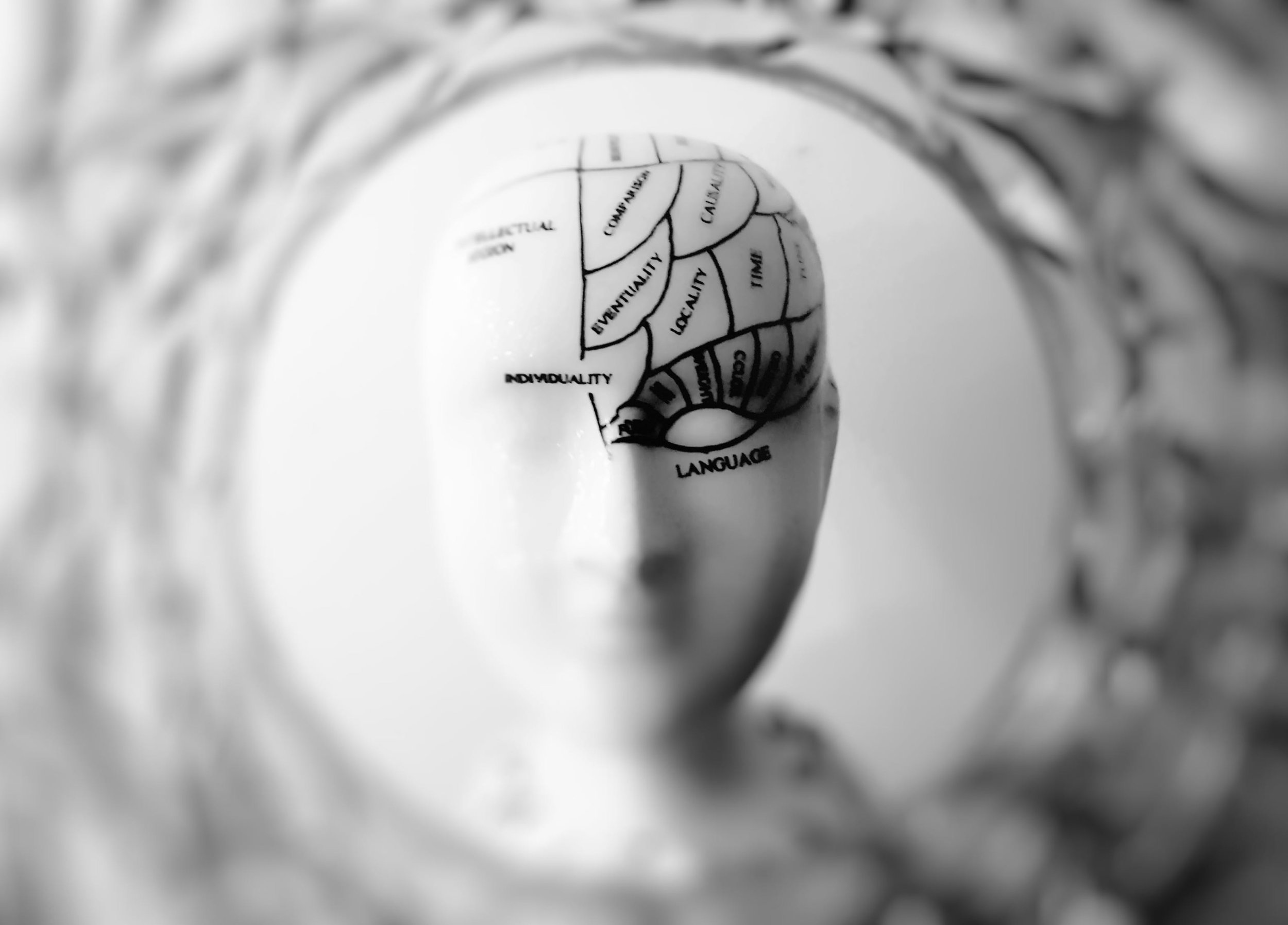 Left Brain, Right Brain.jpeg