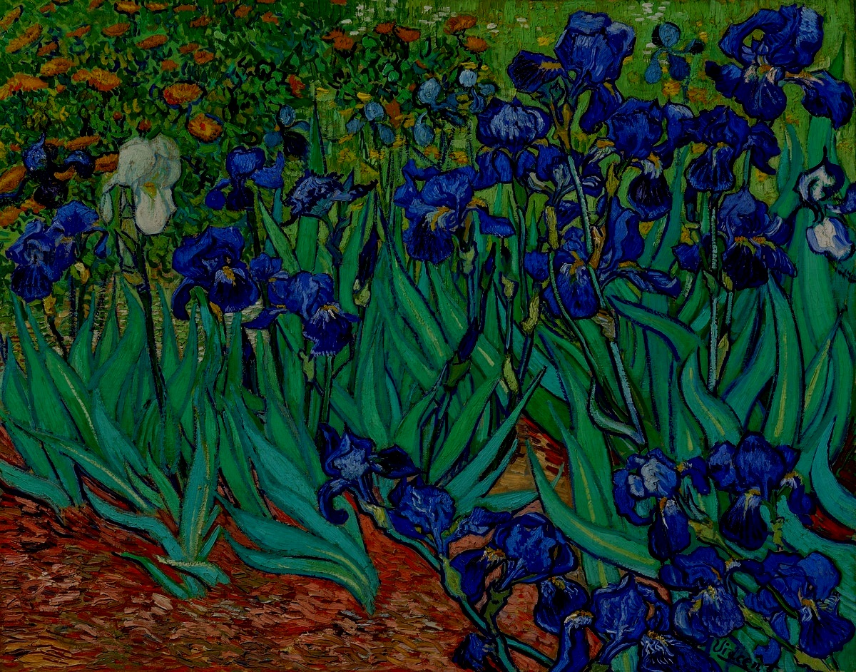 Irises%2B%25281889%2529%2Bby%2BVincent%2BVan%2BGogh.jpg