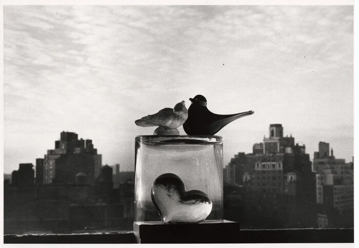 Glass Birds of New York by André Kertész (1978)