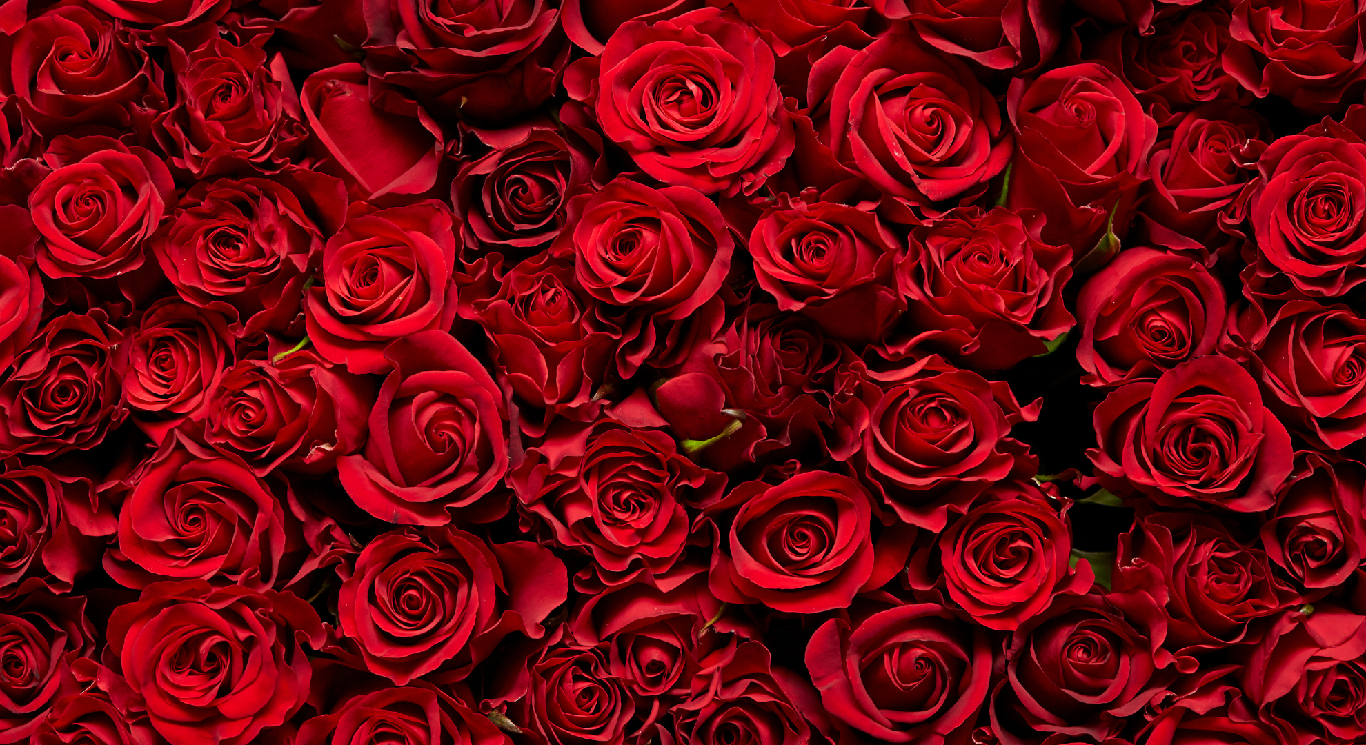 valentine day 2025 dinner offer.png