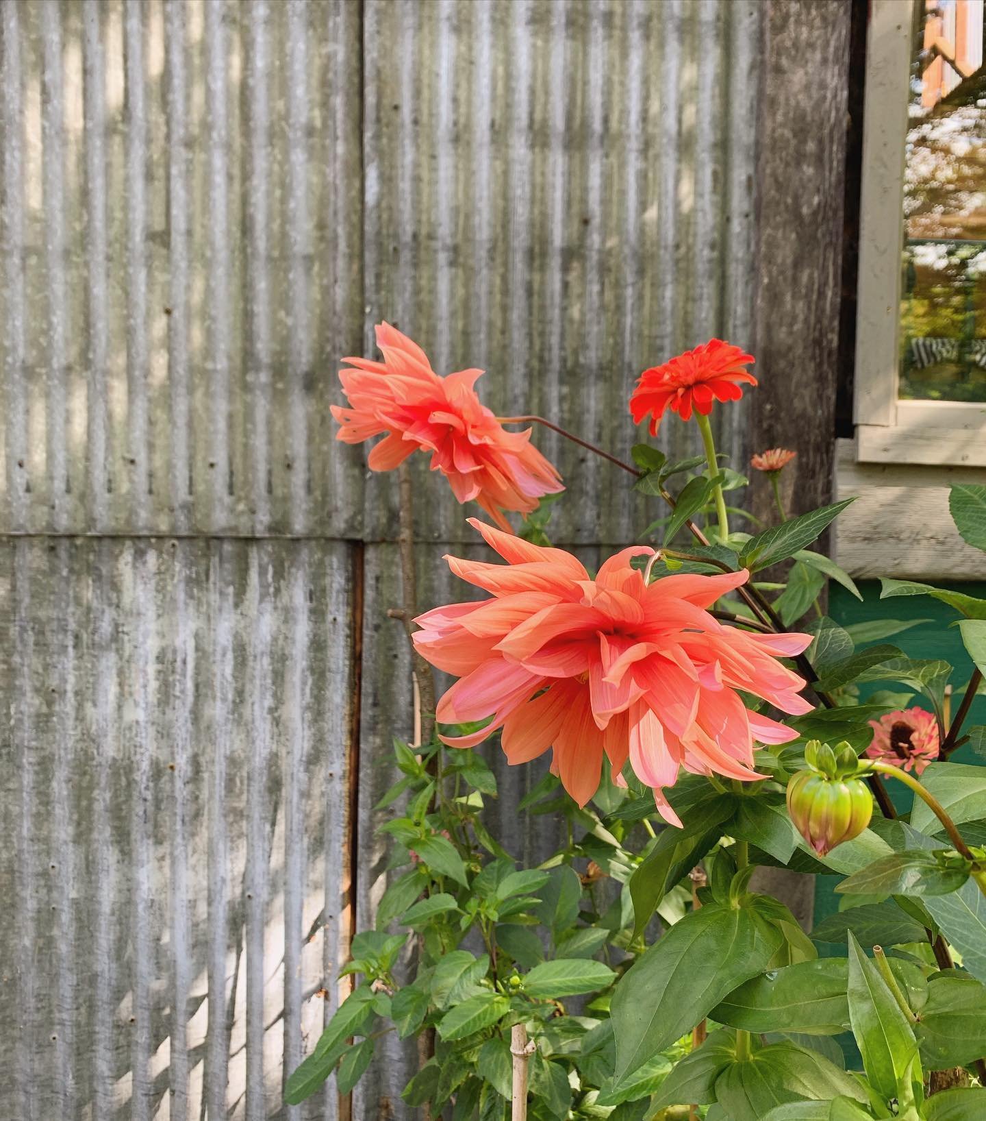 - beginnings -
What time do you consider the beginning of the year? 
In January when the calendar marks, in spring with the awakening of nature or in September with going back 
to school? All are good times to pause the pace, become aware of where w