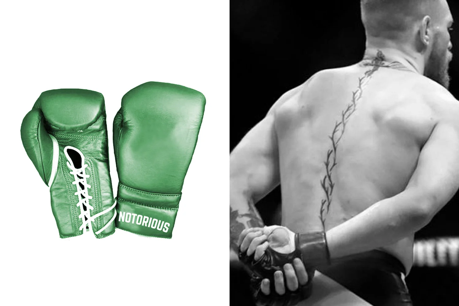 CONTENDER_CONORMCGREGOR_UFC_TORONTO_9.jpg