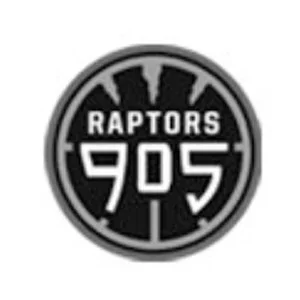 Contender-Studio-Sports-Design-Consultancy-Logo-Raptors-905.webp
