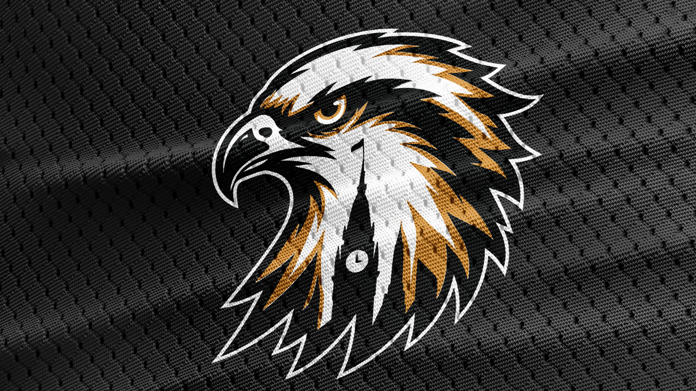 Contender-Studio-Sports-Branding-Sports-Design-PWHL-Ottawa-1.png