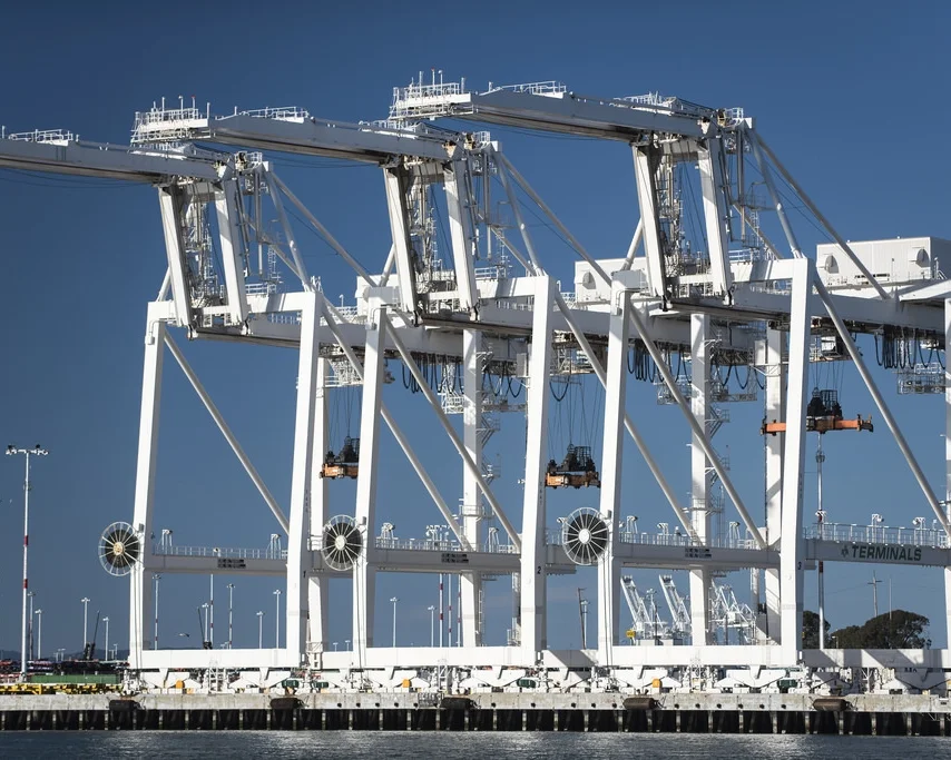 Cranes 2.jpg