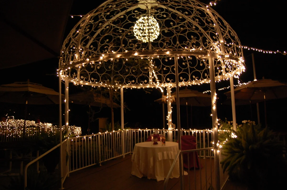 2013 wed & wot lights 097.jpg