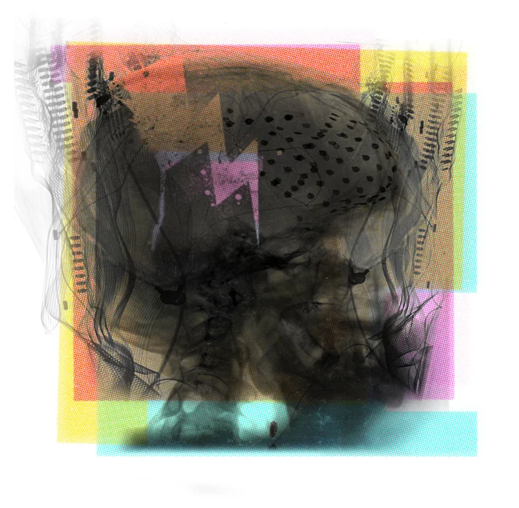 Alkaloid-b2.jpg
