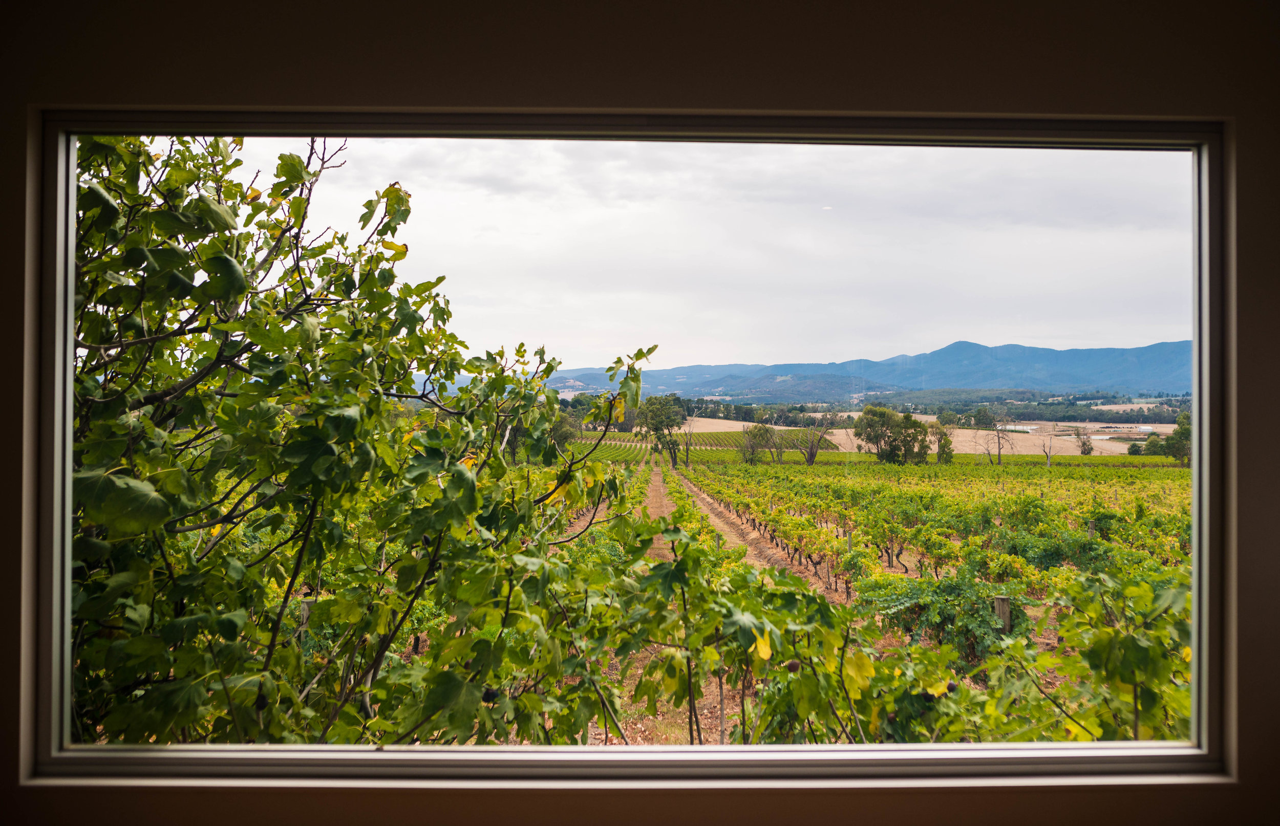Yarra Weekend 021.jpg