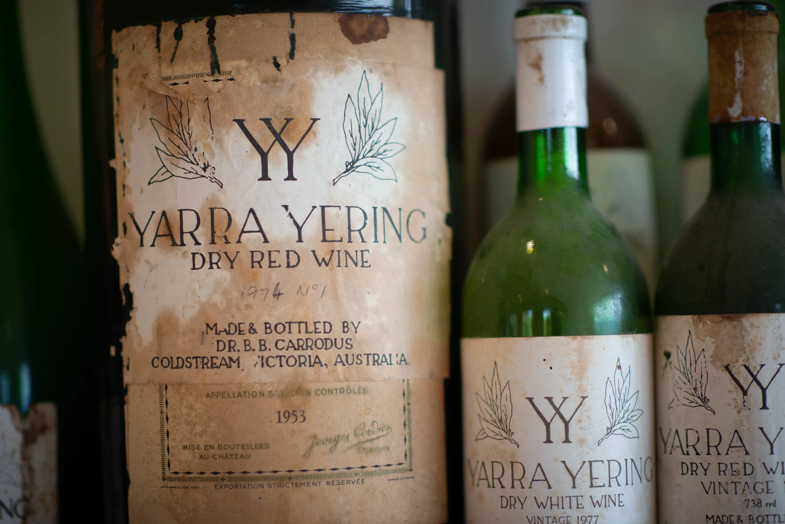 Yarra Weekend 024.jpg