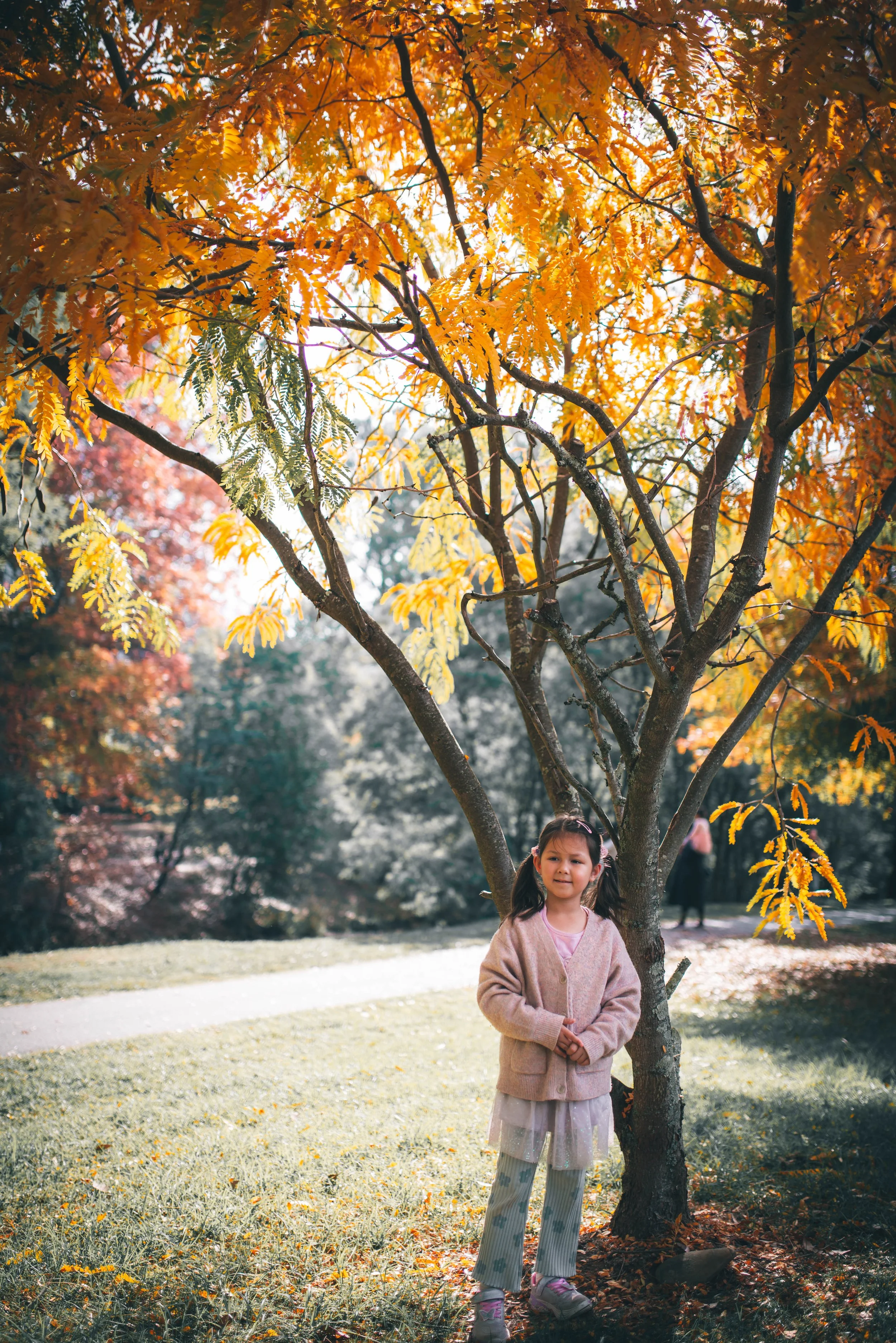 DSC_8379.jpg