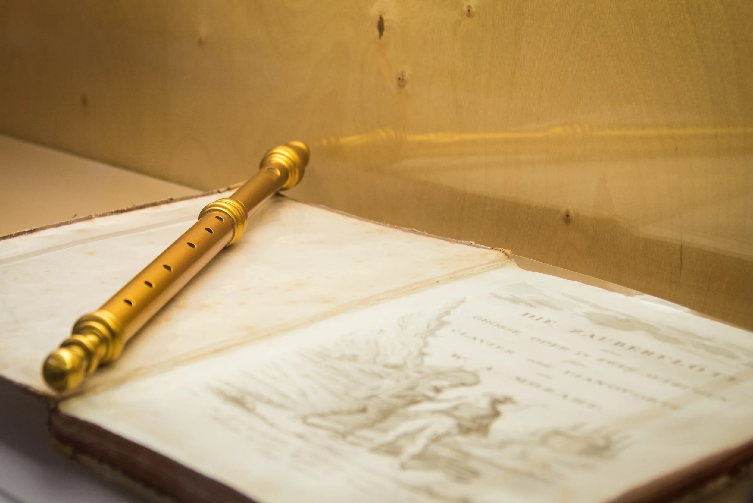 HMTA Member Feature: Lance Suzuki