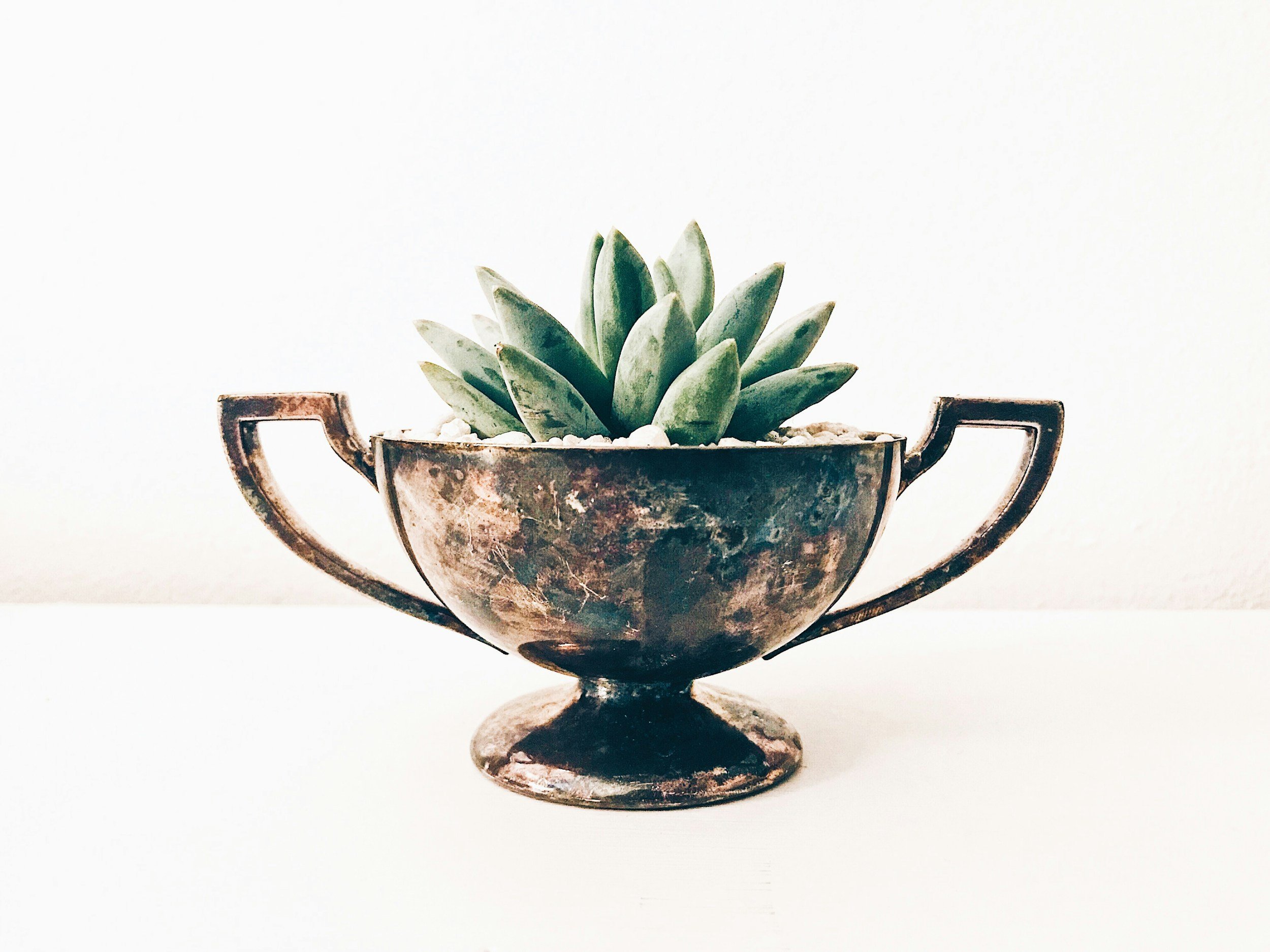 unsplash-image-sTgmxWNK9rY.jpg