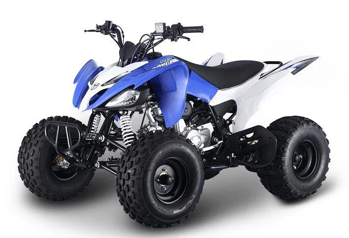 Quad Bike.jpg
