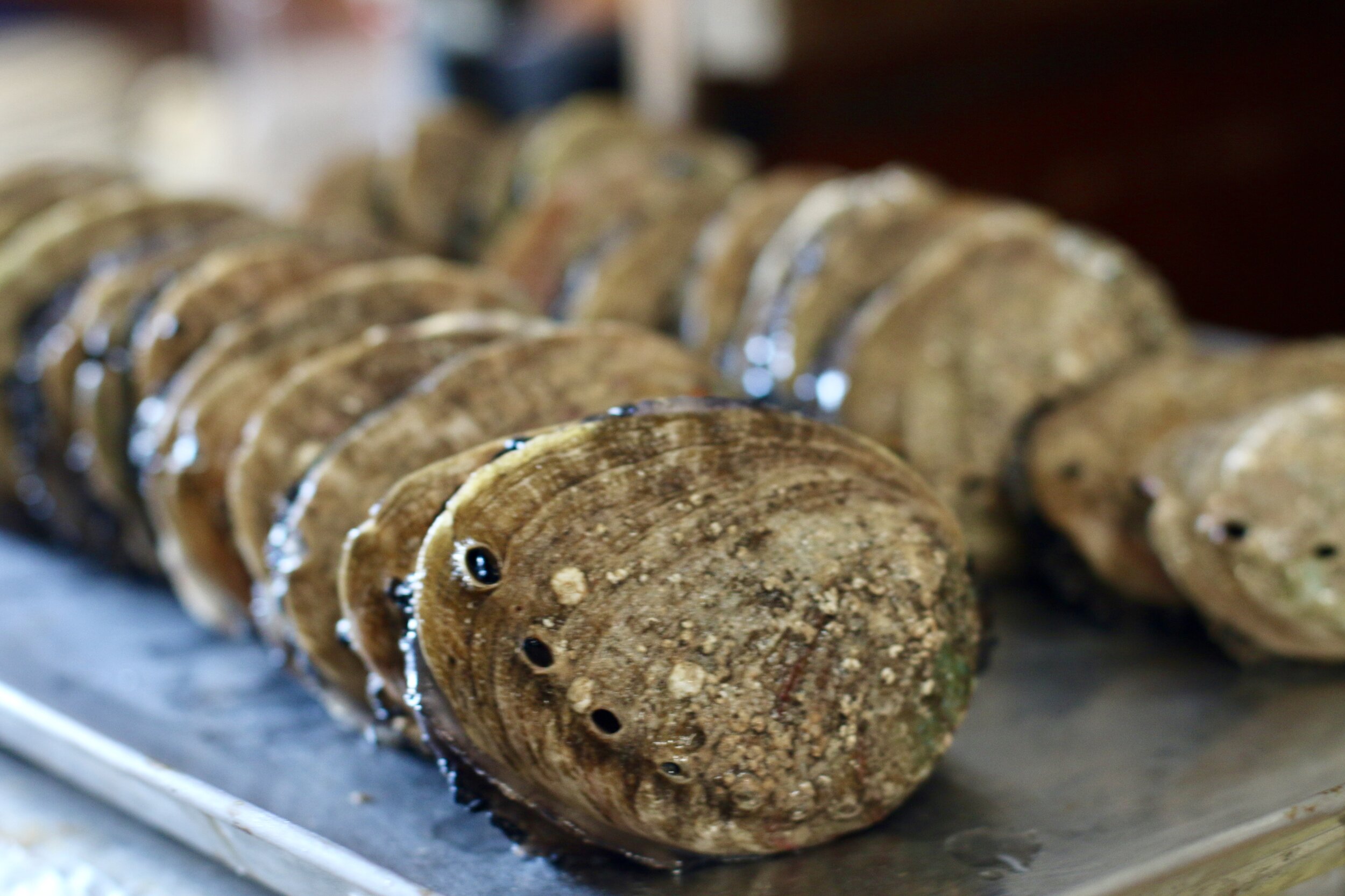 All About Abalone: Learn how to buy, shuck, clean, and cook this mollusk