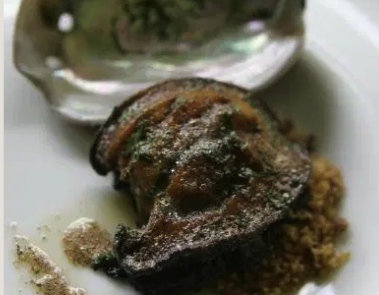 Abalone farming – life in the slow lane