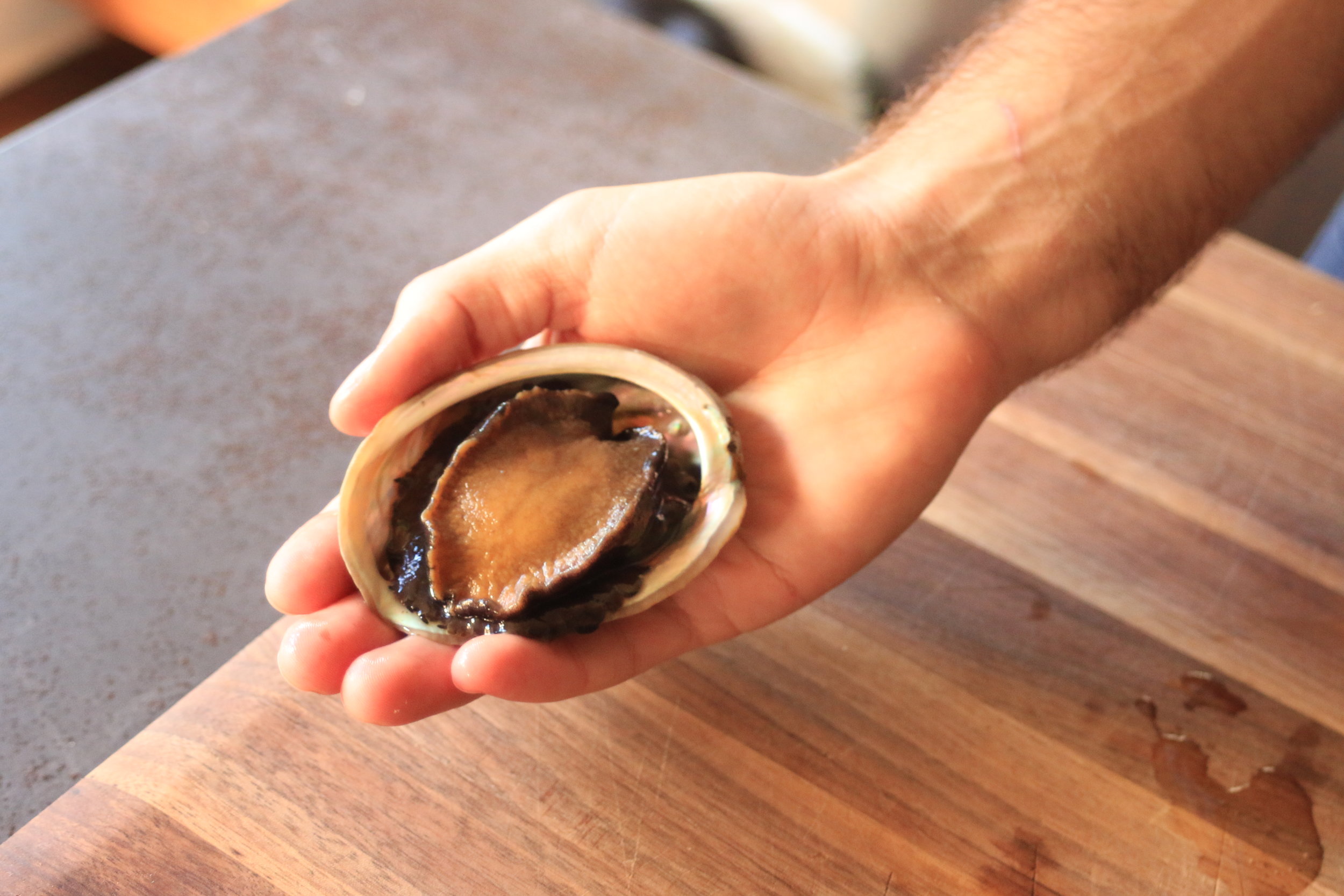 Shucked Extra Small Abalone