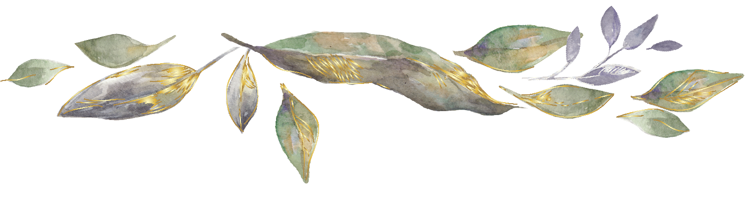 24.png
