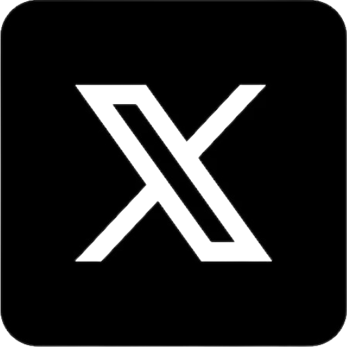 X Icon.png