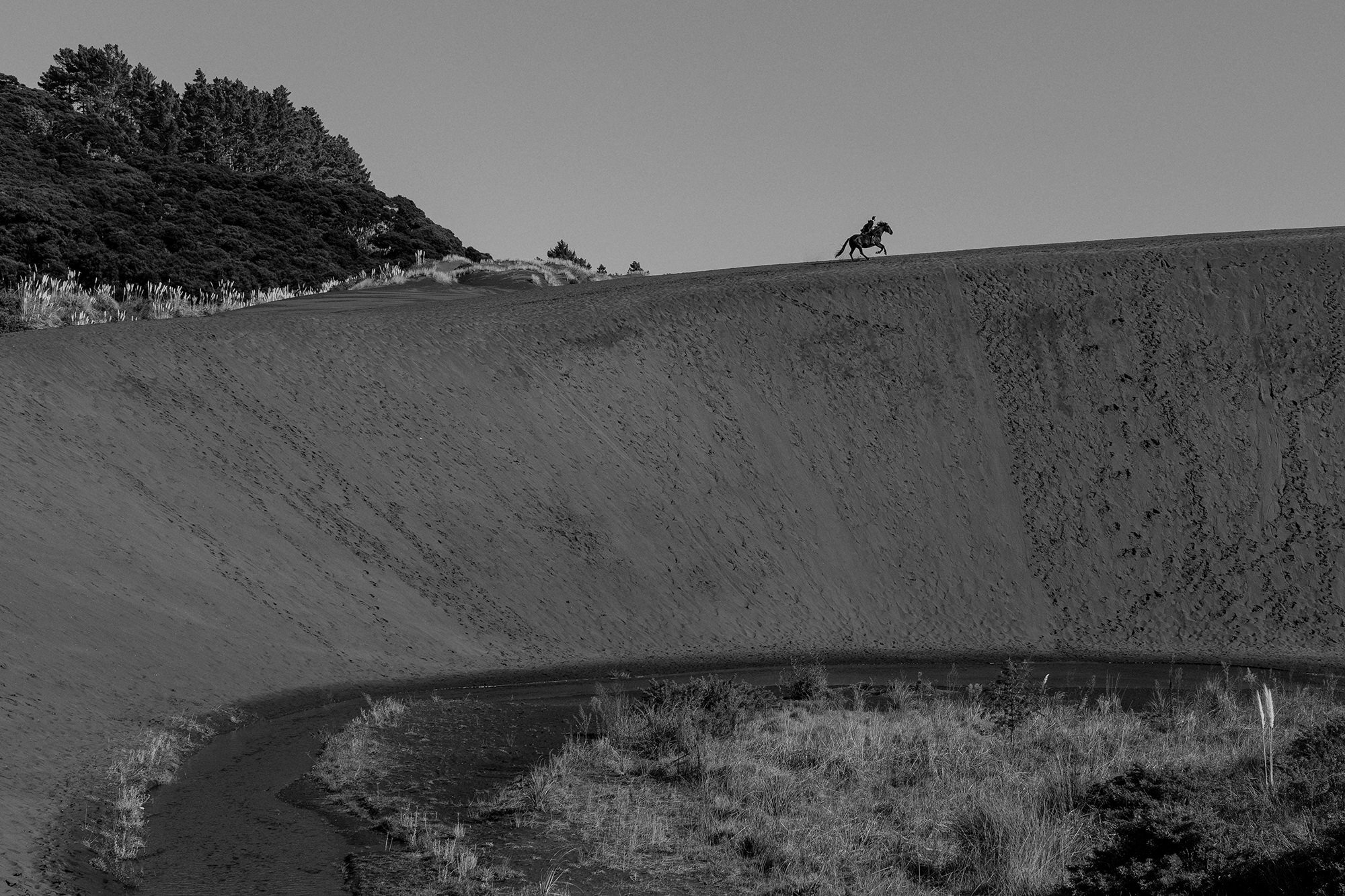 Bethells-Beach-Horse.jpg