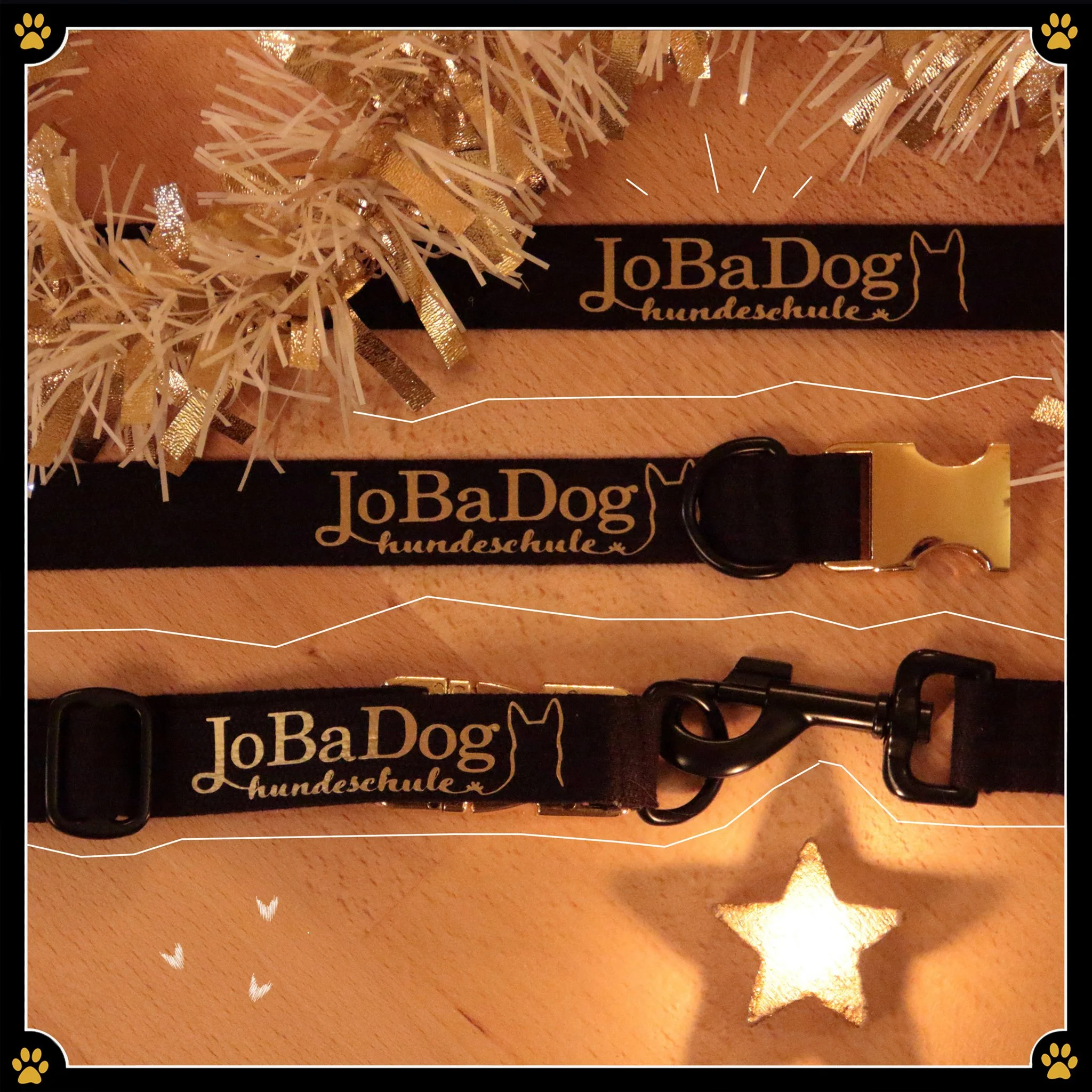 JoBaDog_Leine_und_Halsband.jpg