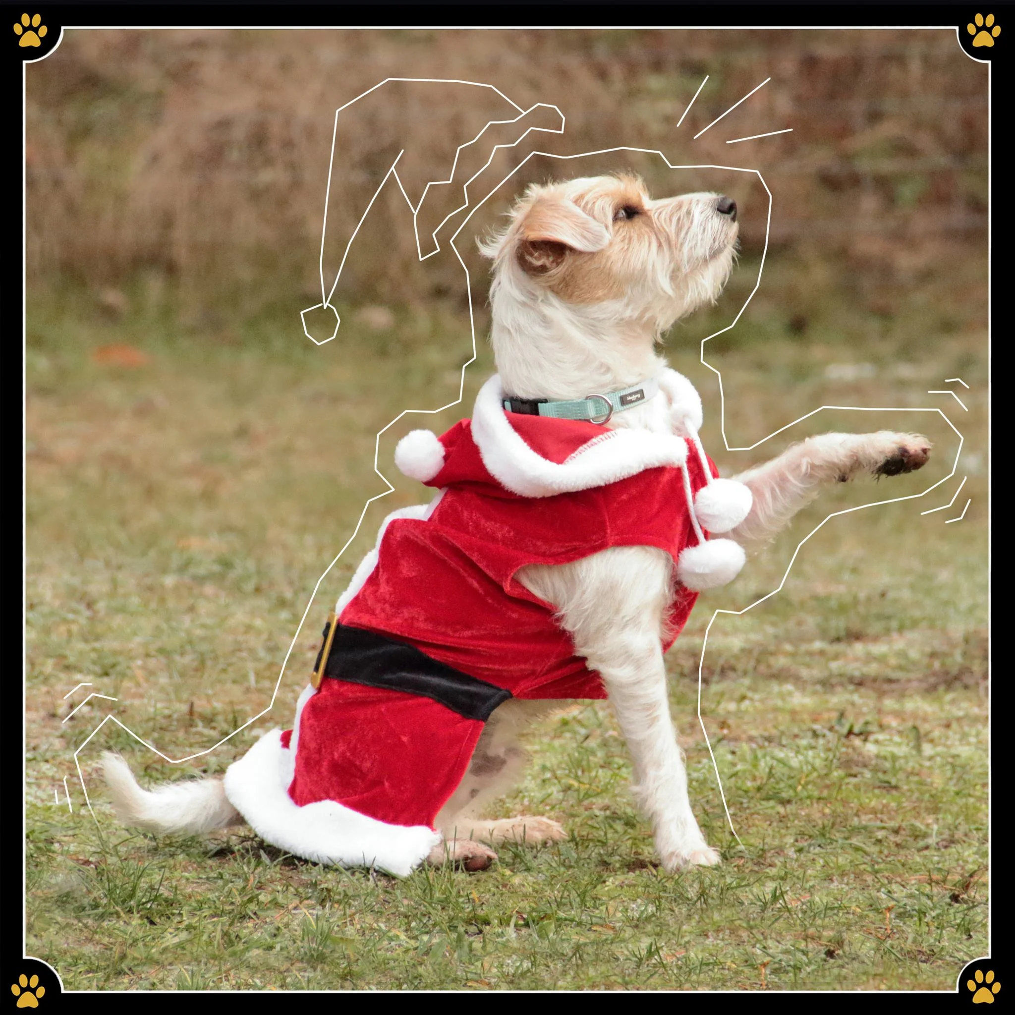JoBaDog_Uebung_Hundekostuem.jpg