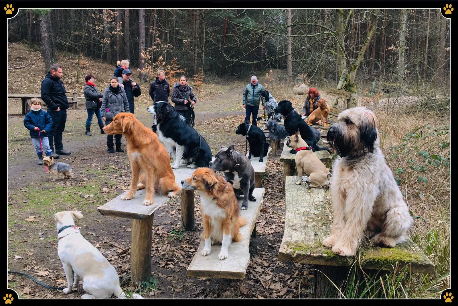 JoBaDog_Alltagstraining_1_Mär_2019_Birkenwerder_1.jpg