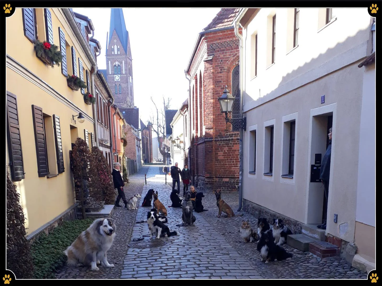JoBaDog_Alltagstraining_16_Feb_2019_Neuruppin_2.jpg