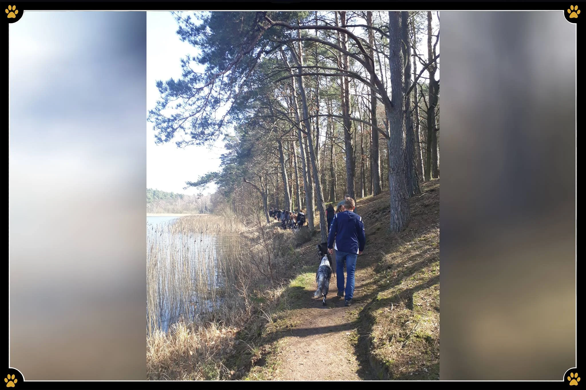 JoBaDog_Alltagstraining_30_Mär_2019_Sommerfeld_3.jpg
