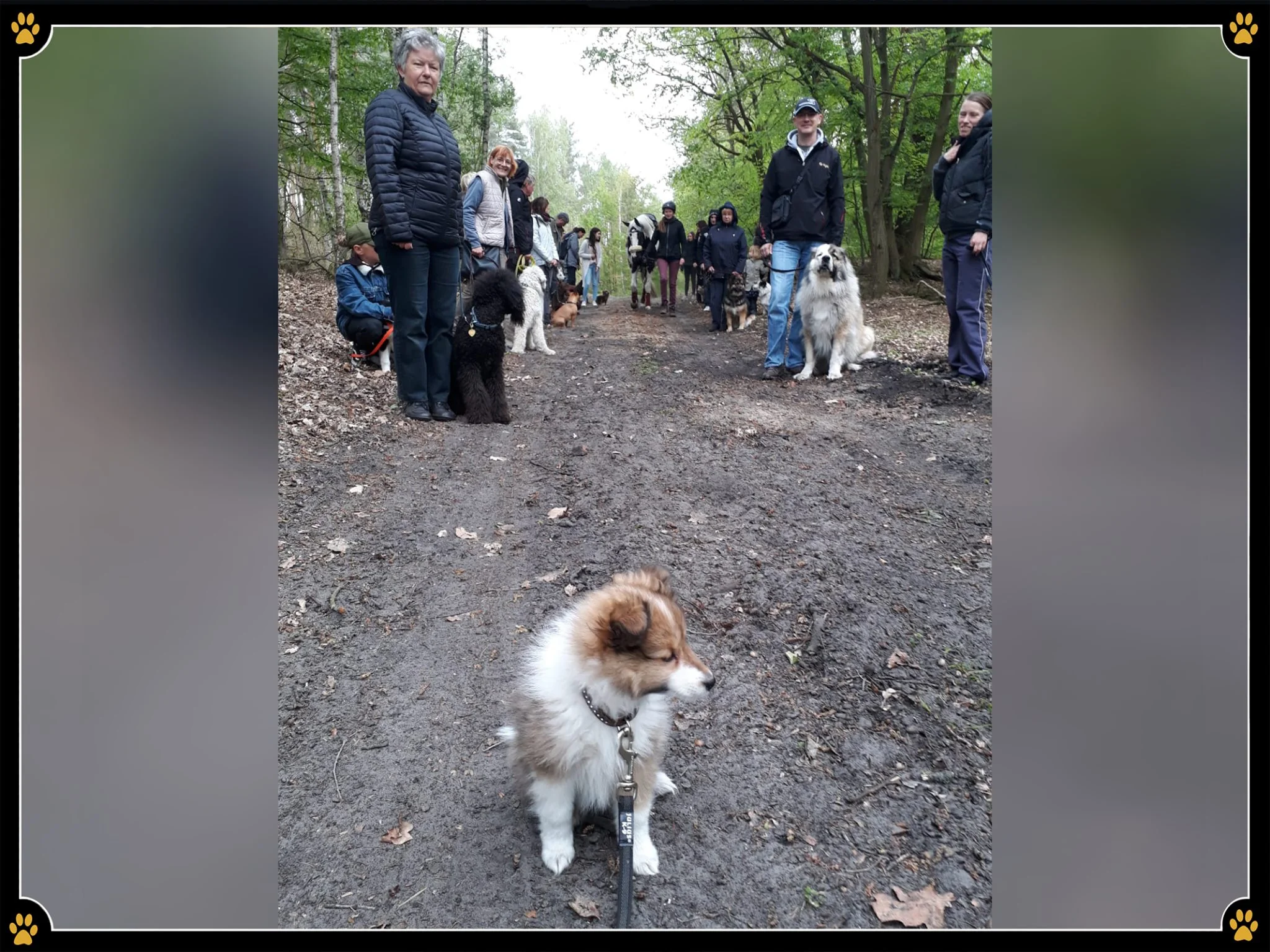 JoBaDog_Alltagstraining_04_Mai_2019_Kremmen_3.jpg