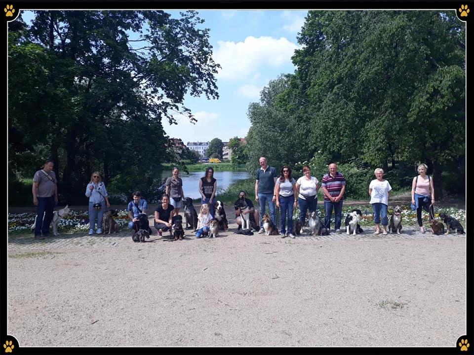 JoBaDog_Alltagstraining_01_Juni_2019_Berlin_1.jpg
