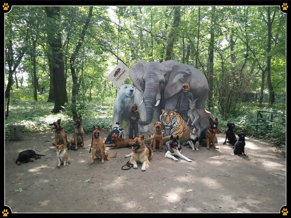 JoBaDog_Alltagstraining_15_Juni_2019_Berlin_Tierpark_1.jpg